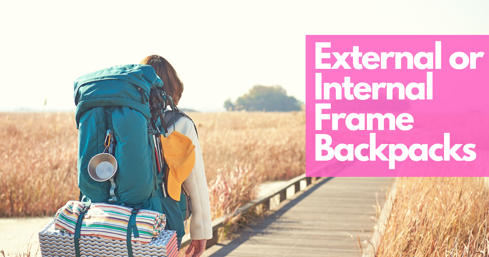 External or Internal Frame Backpacks