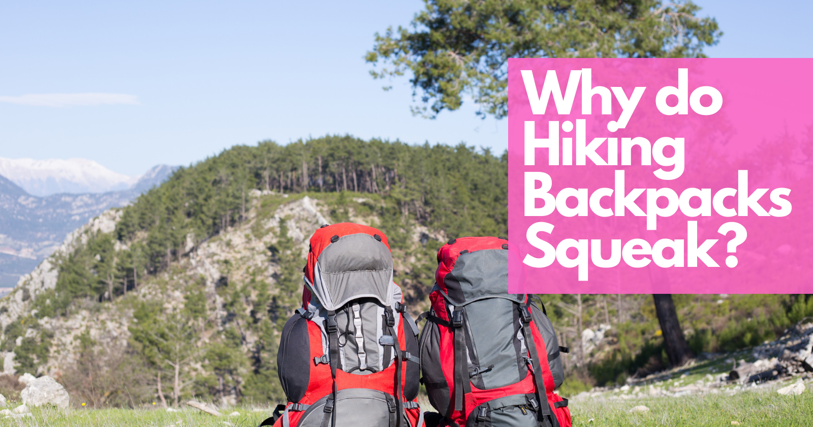 Why do Hiking Backpacks Squeak